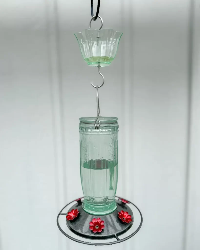 hummingbird feeder 