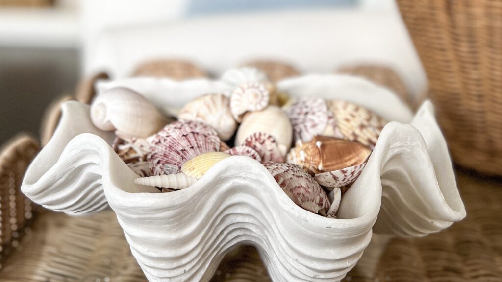 5 Chic Ways to Use Seashells in Home Decor